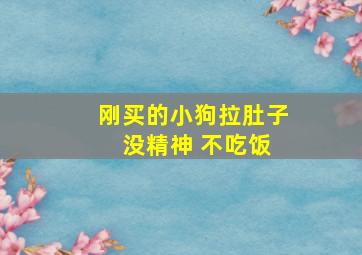 刚买的小狗拉肚子 没精神 不吃饭